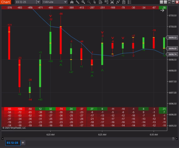 Delta Suite indicator highlighting bullish and bearish divergence on NinjaTrader chart.